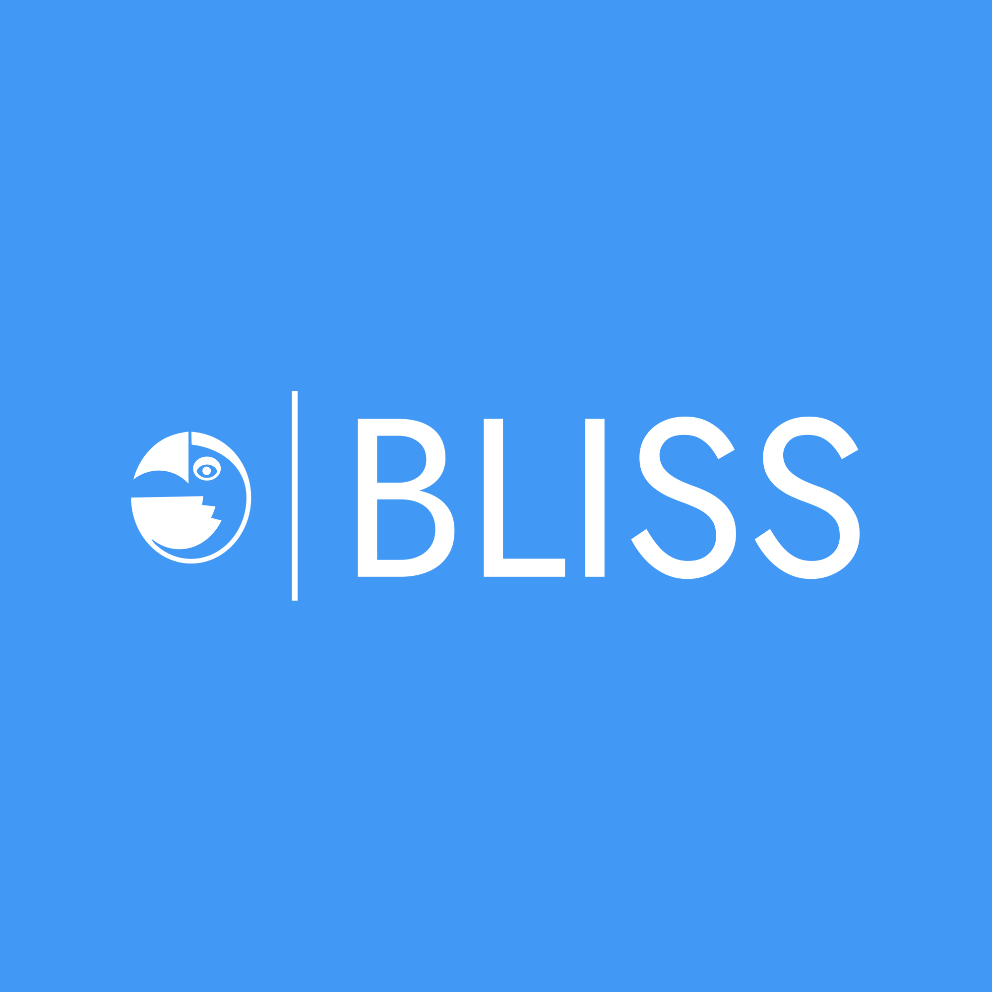BLISS - Boston LLMs Initiative for Social Scientists